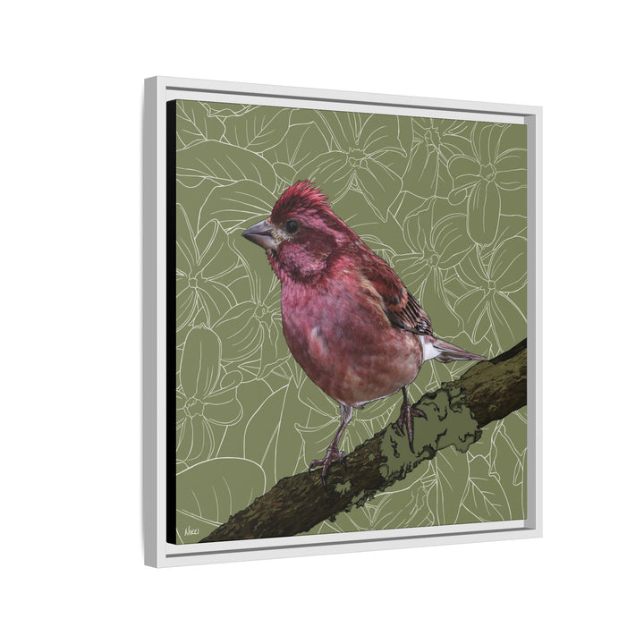 Purple Finch: New Hampshire State Bird — Framed Canvas Print Wall Art