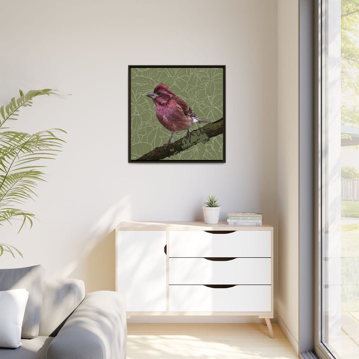 Purple Finch: New Hampshire State Bird — Framed Canvas Print Wall Art