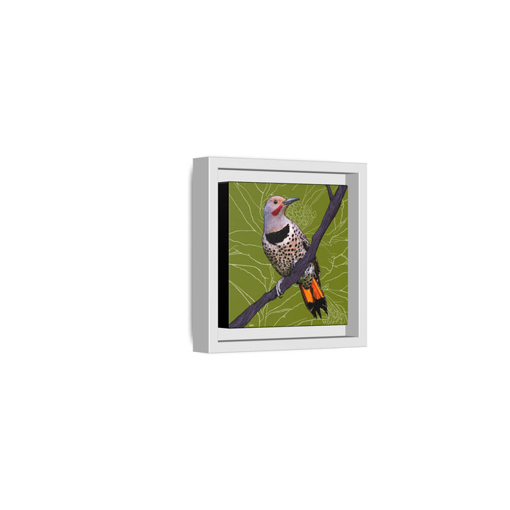 Northern Flicker (Yellowhammer): Alabama State Bird: — Framed Canvas Print Wall Art