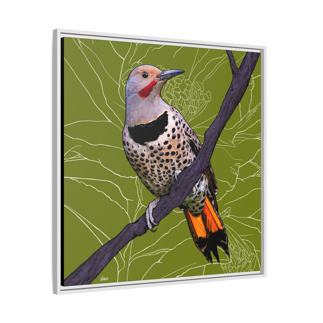 Northern Flicker (Yellowhammer): Alabama State Bird: — Framed Canvas Print Wall Art
