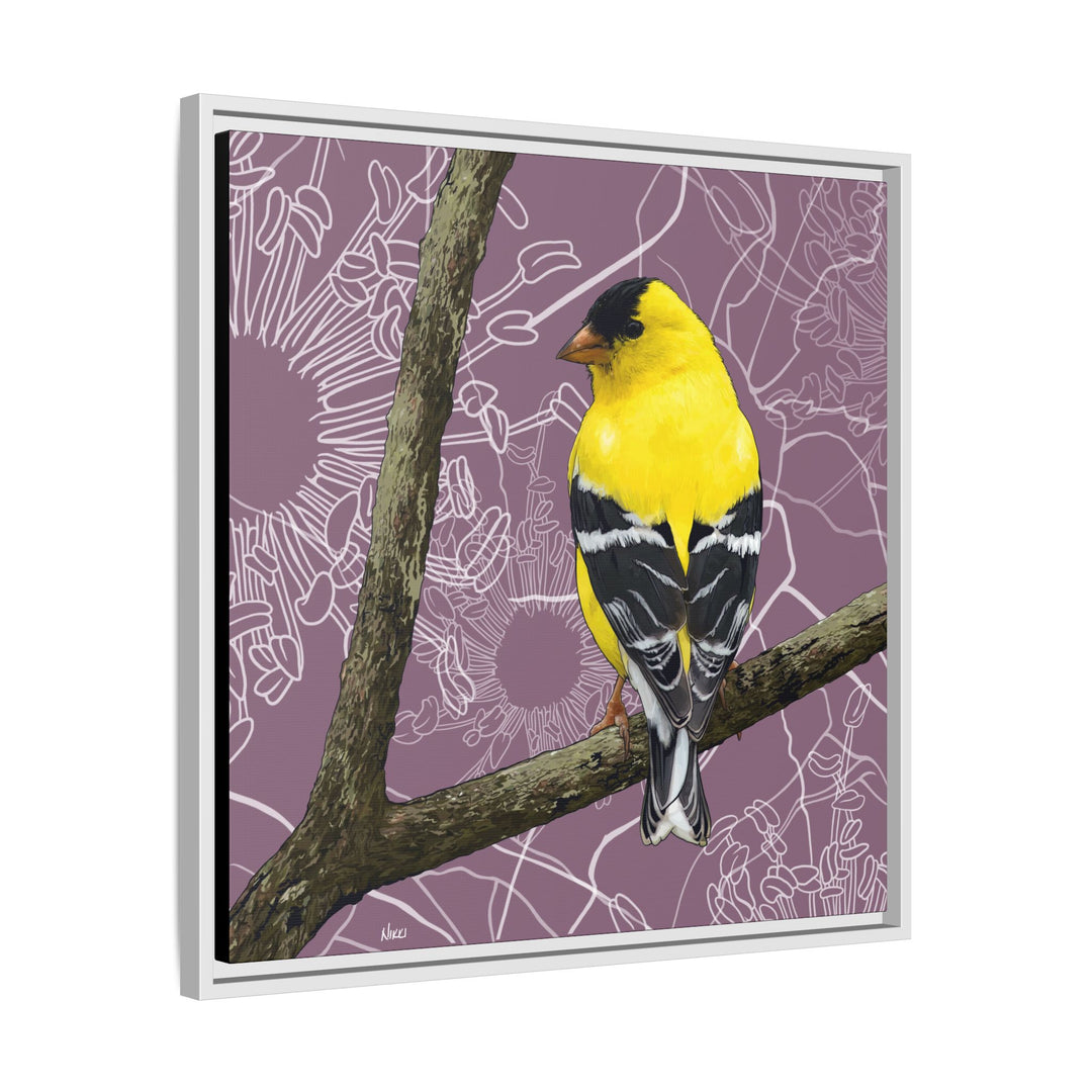 Goldfinch: Washington State Bird — Framed Canvas Print Wall Art