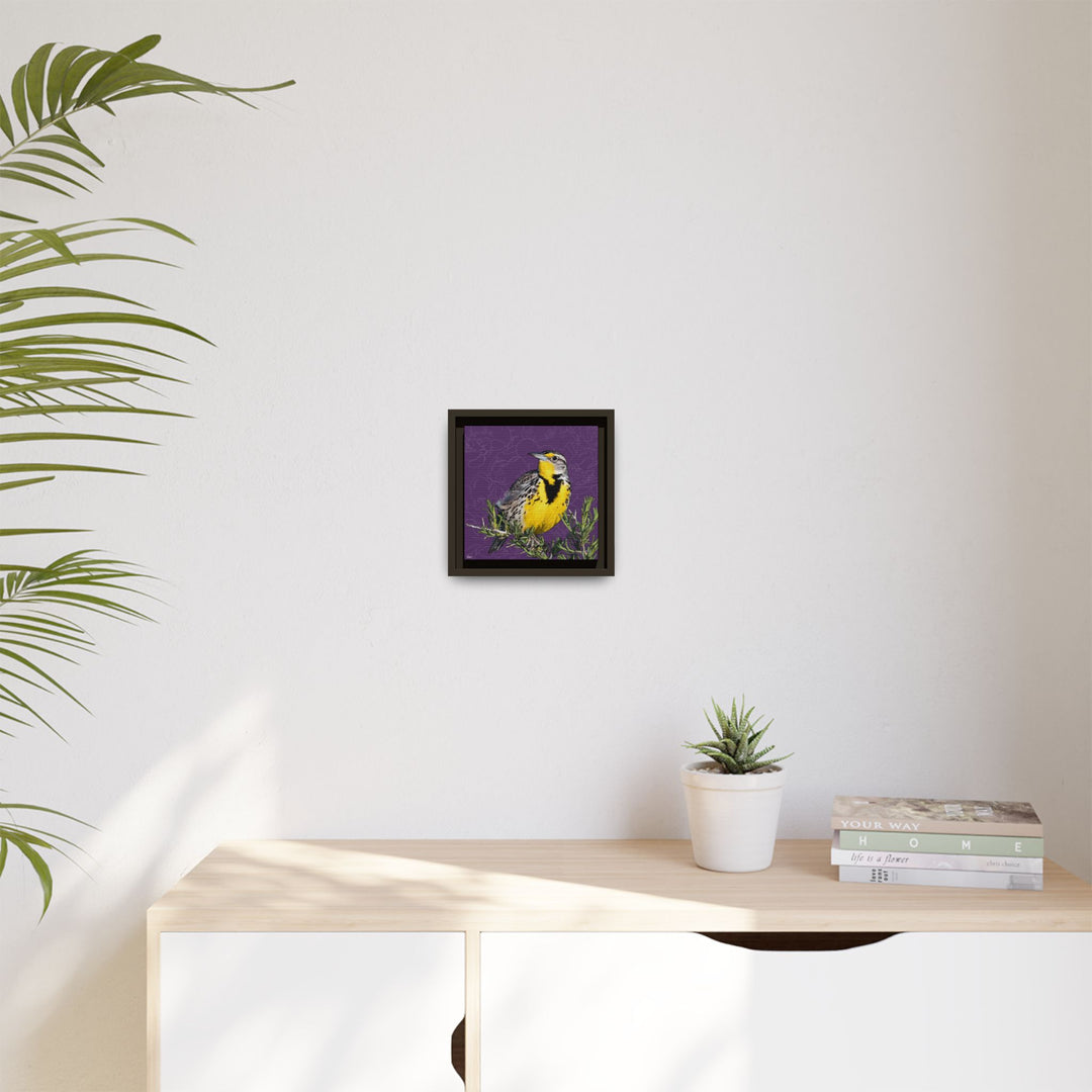 Western Meadowlark: North Dakota State Bird — Framed Canvas Print