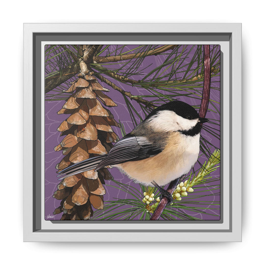 Black-capped Chickadee: Maine State Bird — Framed Canvas Print