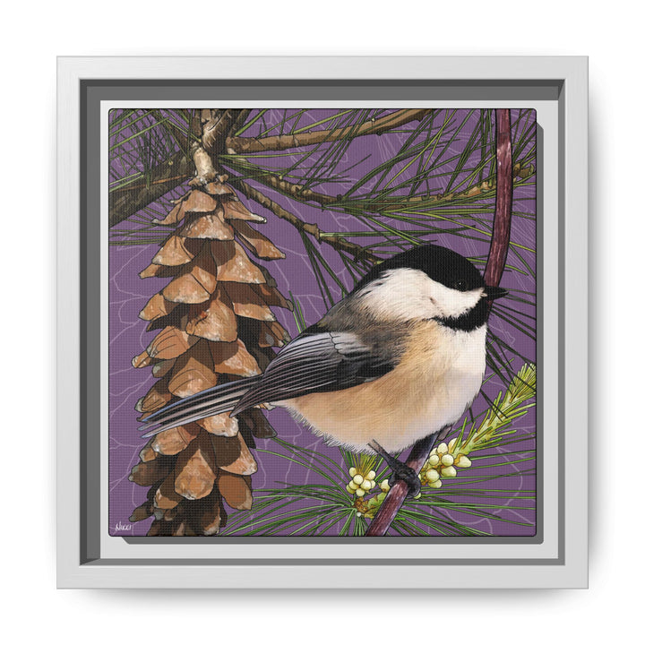 Black-capped Chickadee: Maine State Bird — Framed Canvas Print