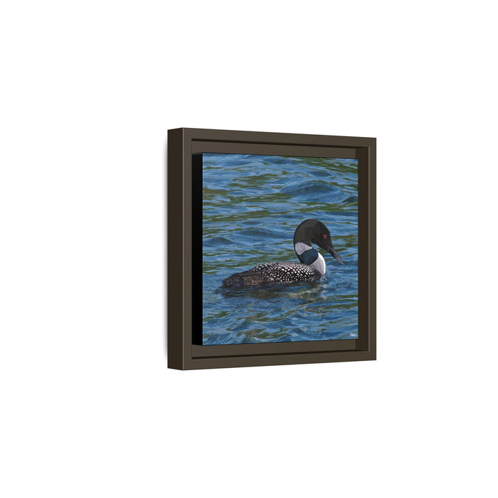 Common Loon: Minnesota State Bird — Framed Canvas Print Wall Art