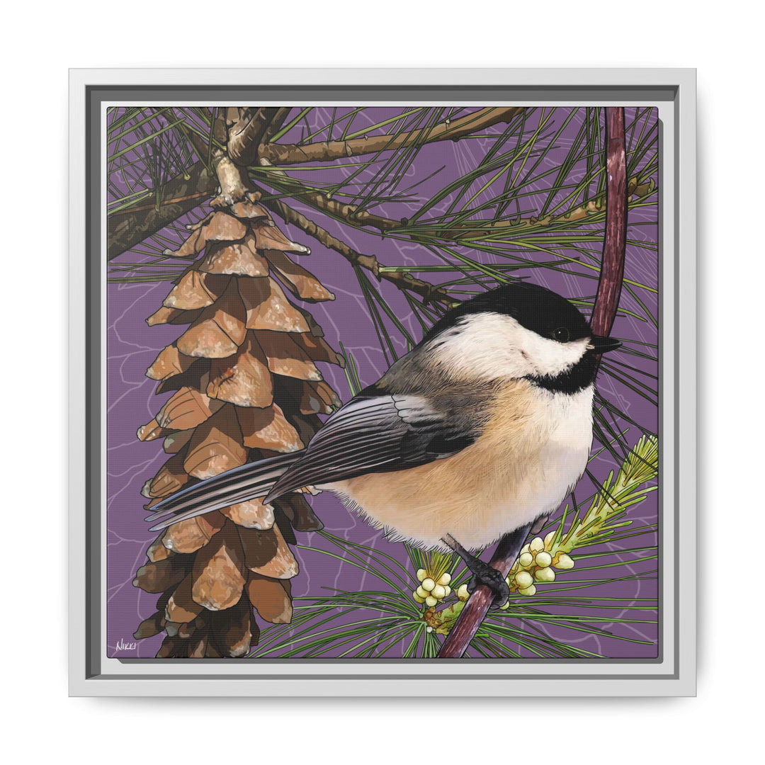 Black-capped Chickadee: Maine State Bird — Framed Canvas Print