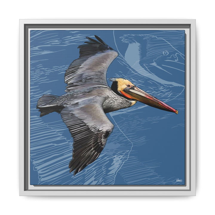 Brown Pelican: Louisiana State Bird  —  Framed Canvas Print