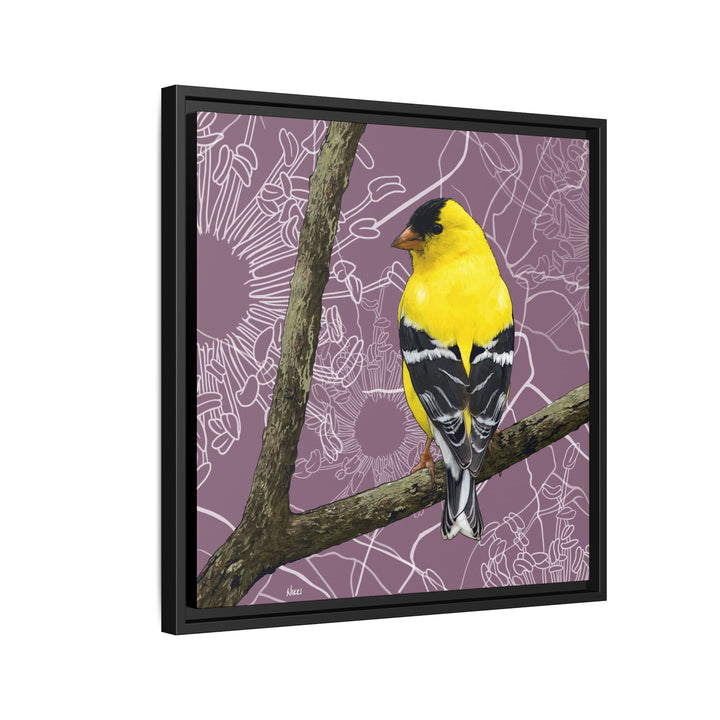 Goldfinch: Washington State Bird — Framed Canvas Print Wall Art