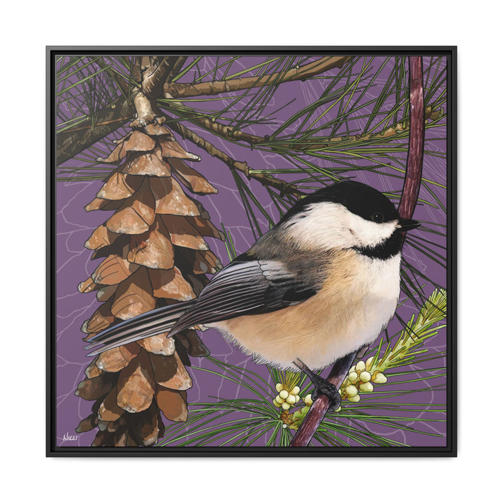 Black-capped Chickadee: Maine State Bird — Framed Canvas Print