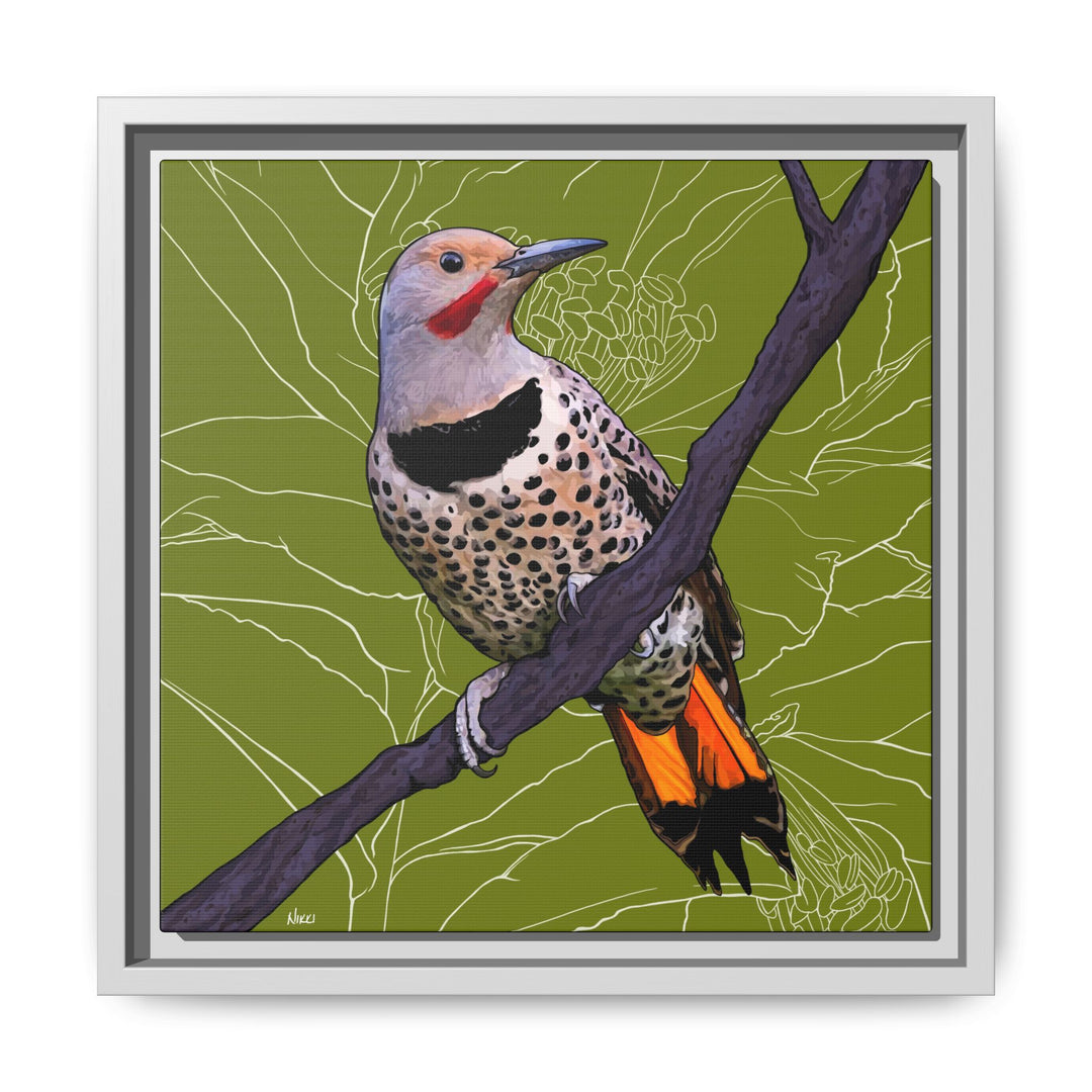 Northern Flicker (Yellowhammer): Alabama State Bird: — Framed Canvas Print Wall Art