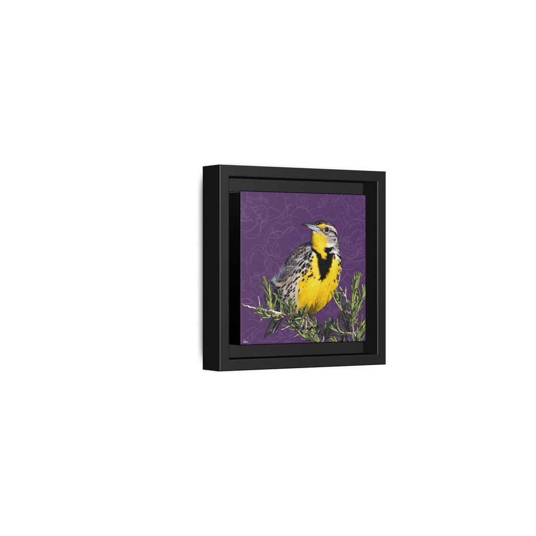 Western Meadowlark: North Dakota State Bird — Framed Canvas Print