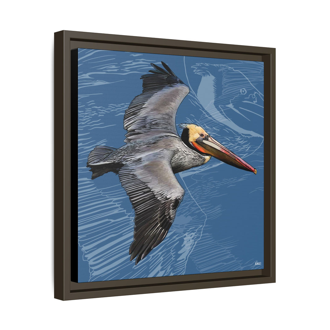 Brown Pelican: Louisiana State Bird  —  Framed Canvas Print