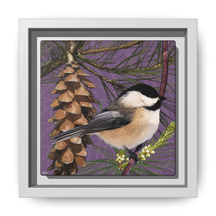 Black-capped Chickadee: Maine State Bird — Framed Canvas Print
