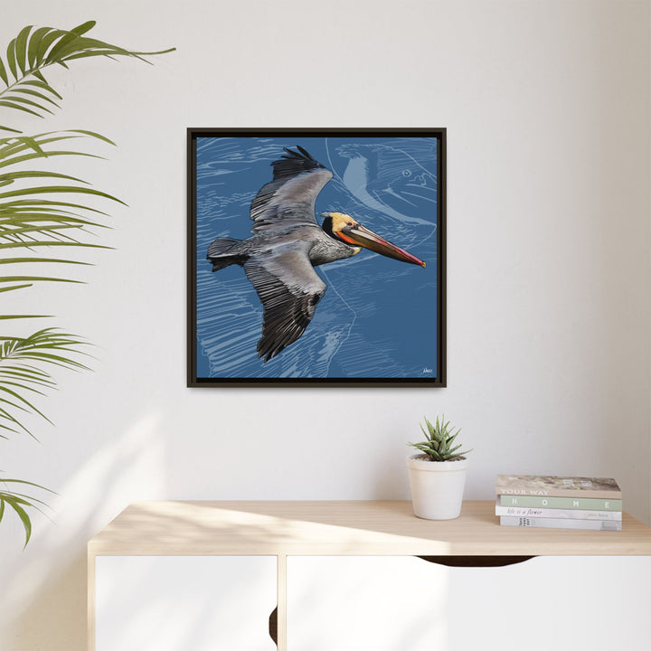 Brown Pelican: Louisiana State Bird  —  Framed Canvas Print