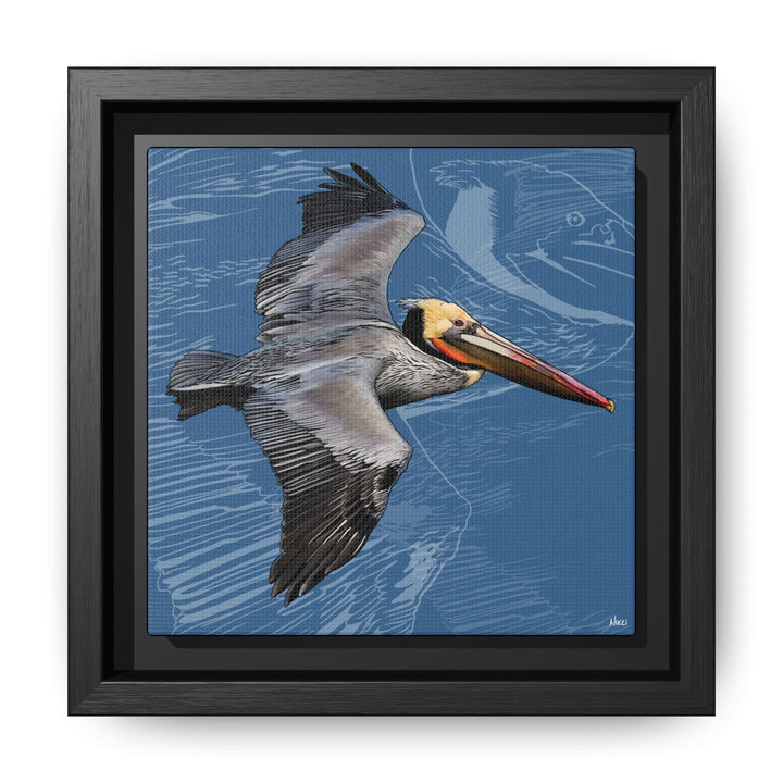 Brown Pelican: Louisiana State Bird  —  Framed Canvas Print