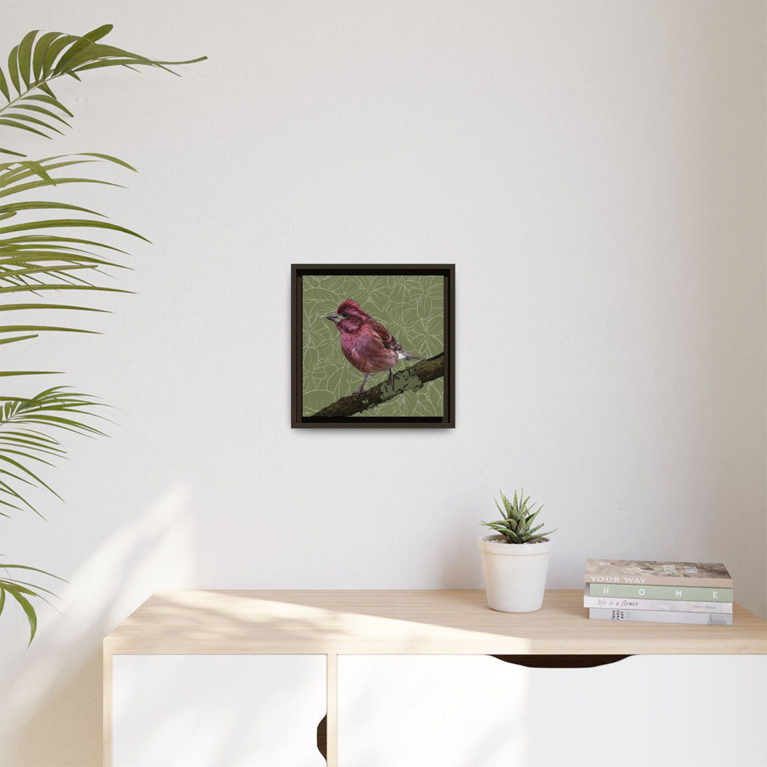 Purple Finch: New Hampshire State Bird — Framed Canvas Print Wall Art