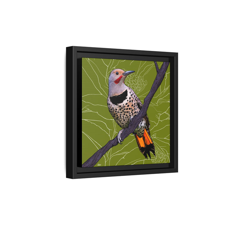 Northern Flicker (Yellowhammer): Alabama State Bird: — Framed Canvas Print Wall Art