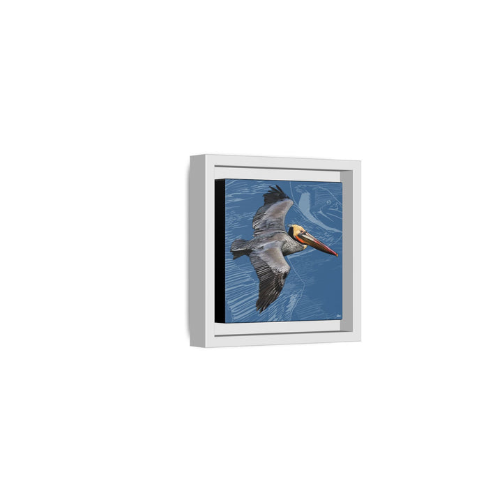 Brown Pelican: Louisiana State Bird  —  Framed Canvas Print