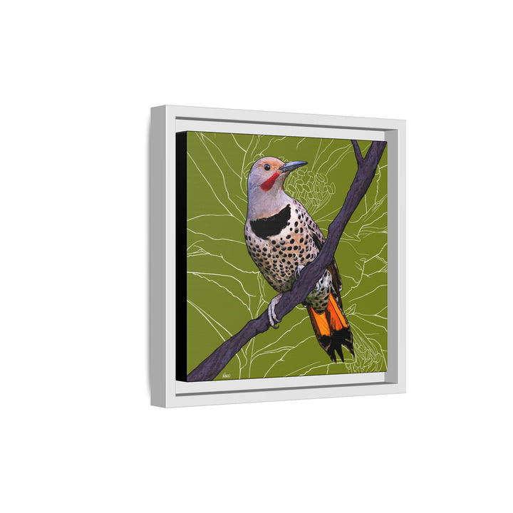 Northern Flicker (Yellowhammer): Alabama State Bird: — Framed Canvas Print Wall Art
