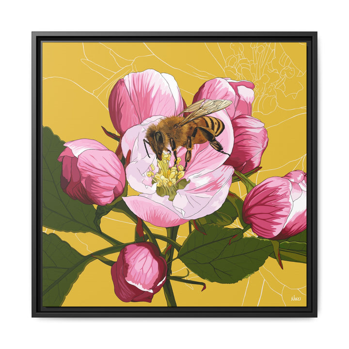 Apple Blossom & Honeybee Framed Canvas — Arkansas State Flower Wall Art