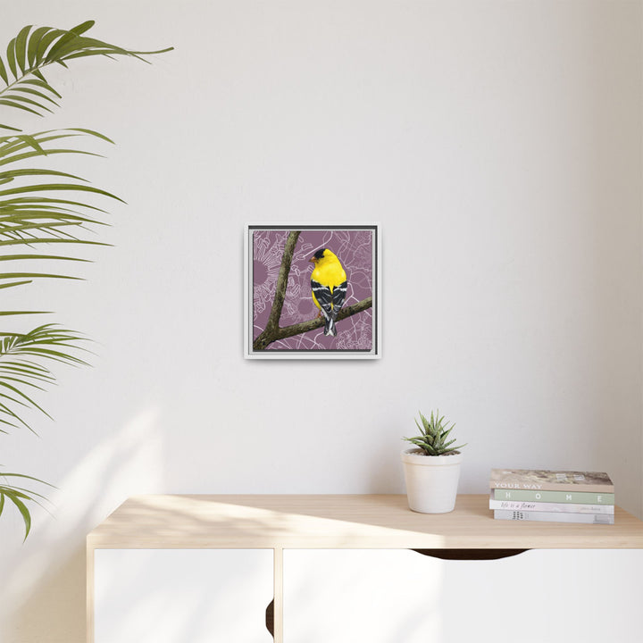 Goldfinch: Washington State Bird — Framed Canvas Print Wall Art