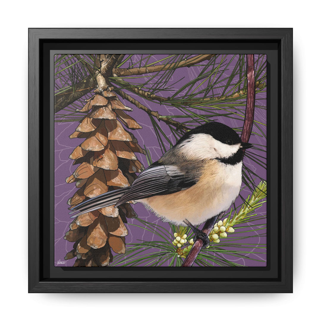Black-capped Chickadee: Maine State Bird — Framed Canvas Print