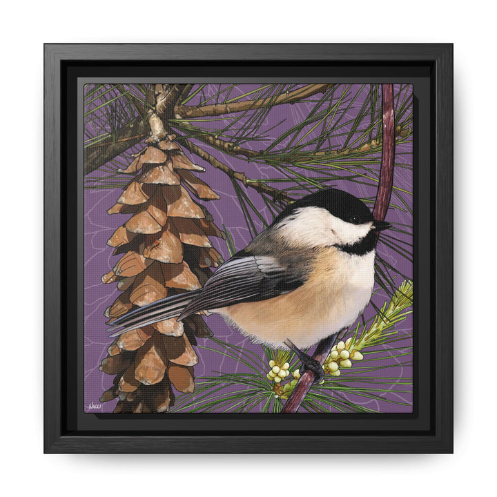 Black-capped Chickadee: Maine State Bird — Framed Canvas Print