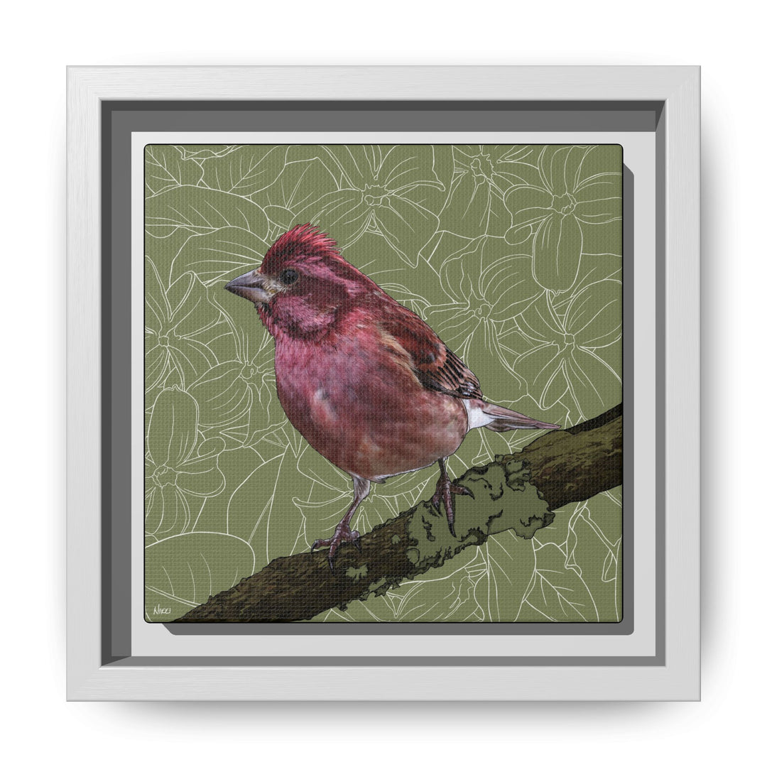 Purple Finch: New Hampshire State Bird — Framed Canvas Print Wall Art