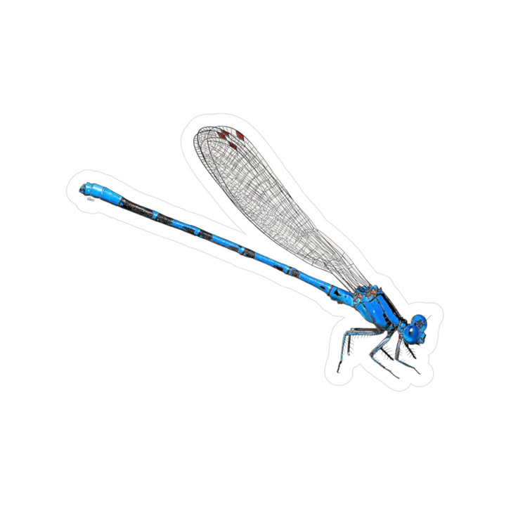 Vivid Dancer Damselfly Kiss-Cut Vinyl Decal — Blue Insect Sticker for Laptops, Water Bottles & Windows