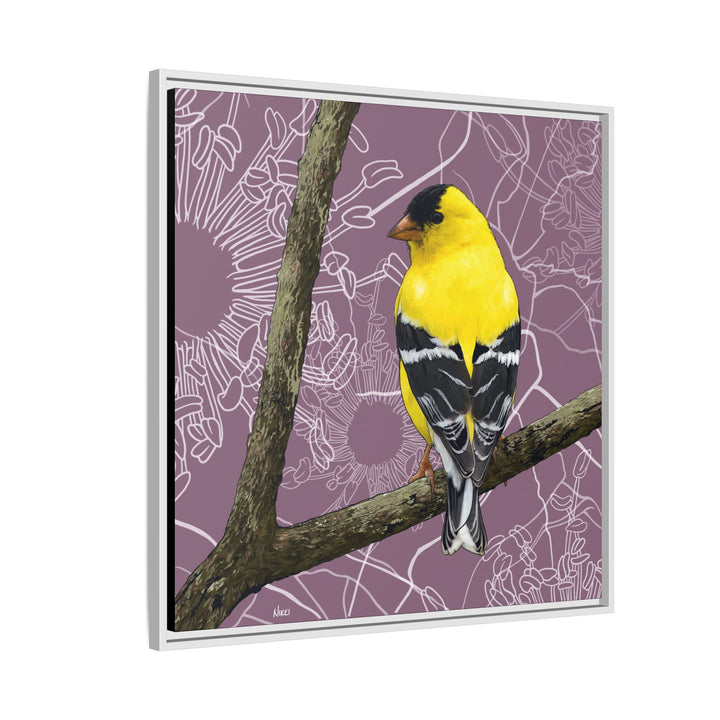 Goldfinch: Washington State Bird — Framed Canvas Print Wall Art