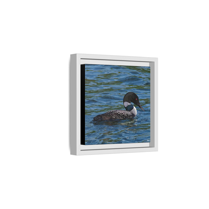 Common Loon: Minnesota State Bird — Framed Canvas Print Wall Art