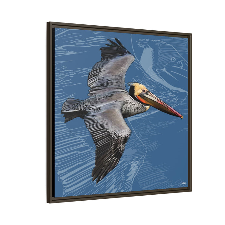 Brown Pelican: Louisiana State Bird  —  Framed Canvas Print