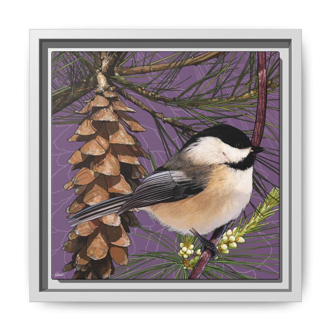 Black-capped Chickadee: Maine State Bird — Framed Canvas Print