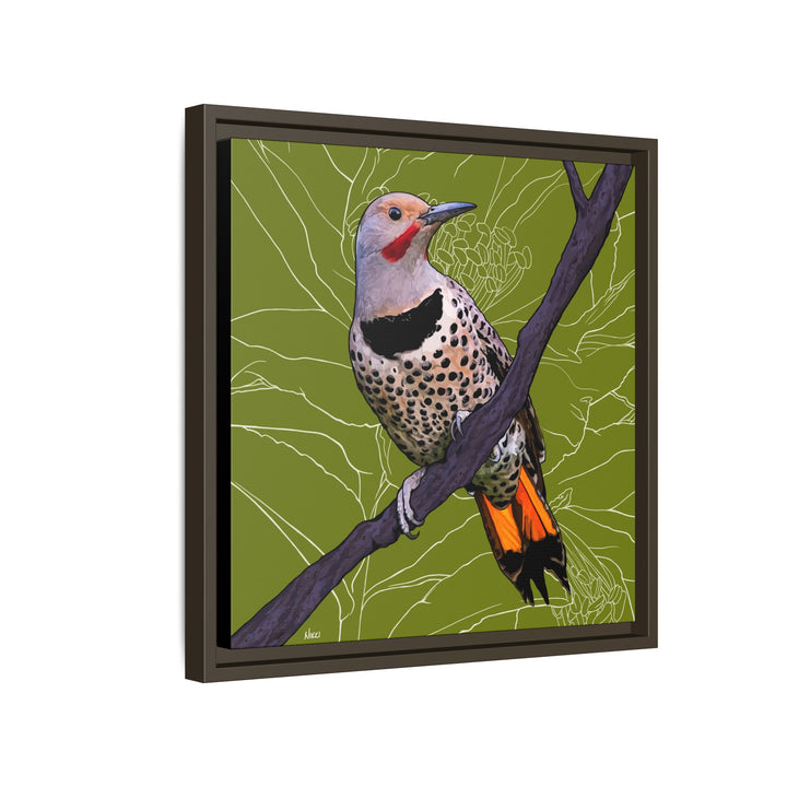 Northern Flicker (Yellowhammer): Alabama State Bird: — Framed Canvas Print Wall Art