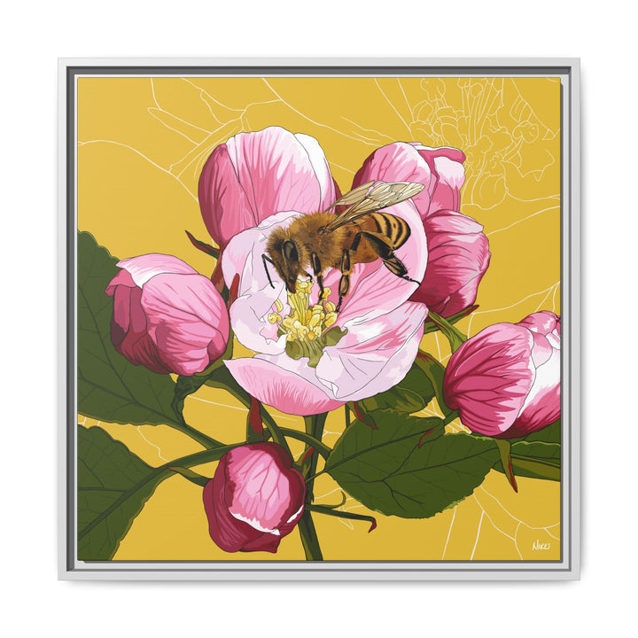 Apple Blossom & Honeybee Framed Canvas — Arkansas State Flower Wall Art