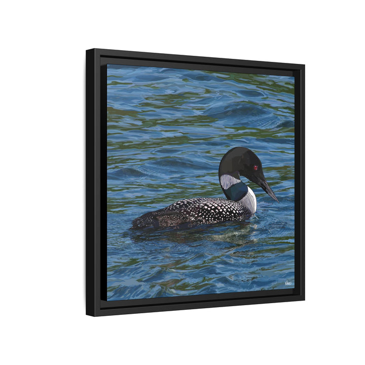 Common Loon: Minnesota State Bird — Framed Canvas Print Wall Art
