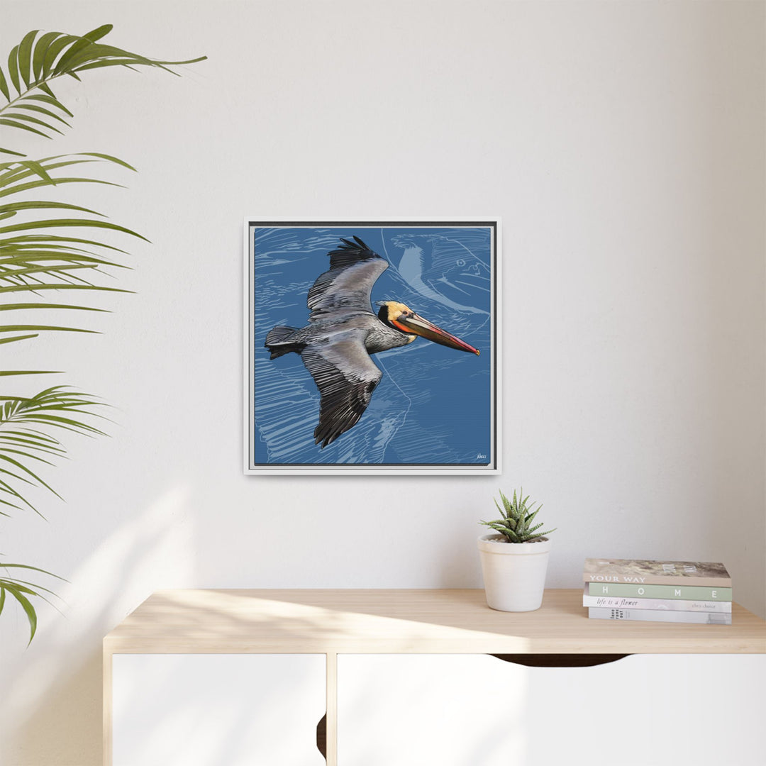 Brown Pelican: Louisiana State Bird  —  Framed Canvas Print