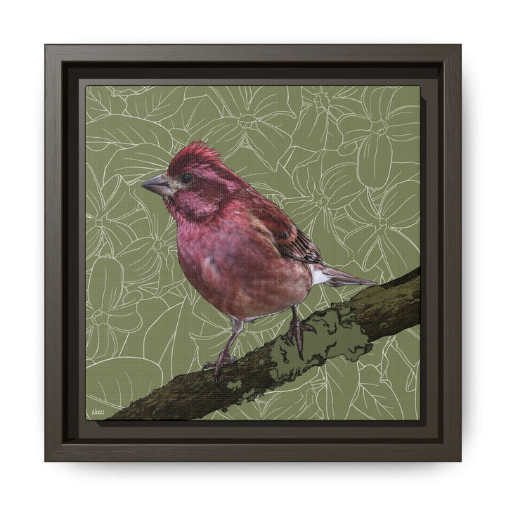 Purple Finch: New Hampshire State Bird — Framed Canvas Print Wall Art