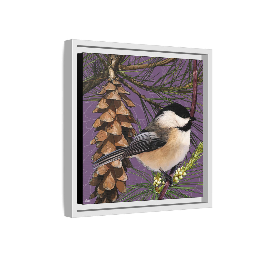 Black-capped Chickadee: Maine State Bird — Framed Canvas Print