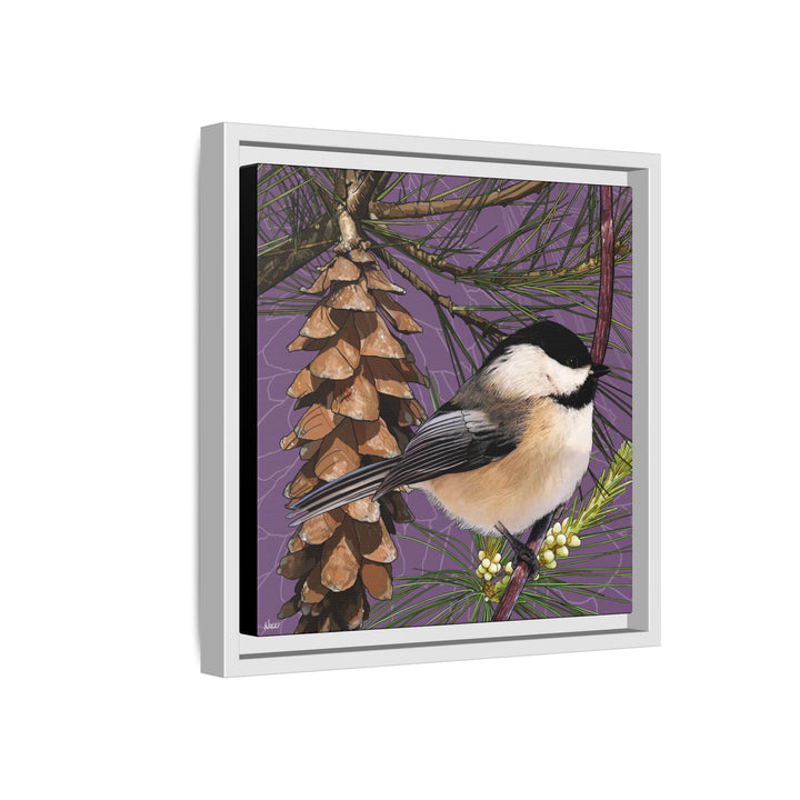 Black-capped Chickadee: Maine State Bird — Framed Canvas Print