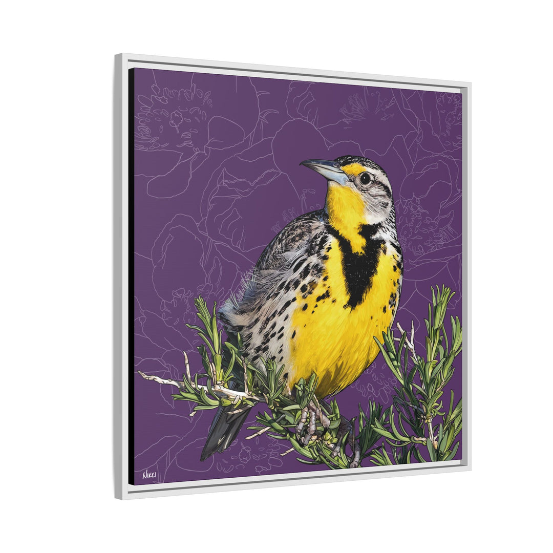 Western Meadowlark: North Dakota State Bird — Framed Canvas Print