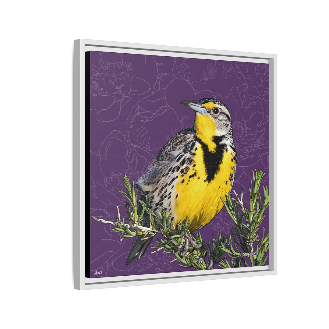 Western Meadowlark: North Dakota State Bird — Framed Canvas Print