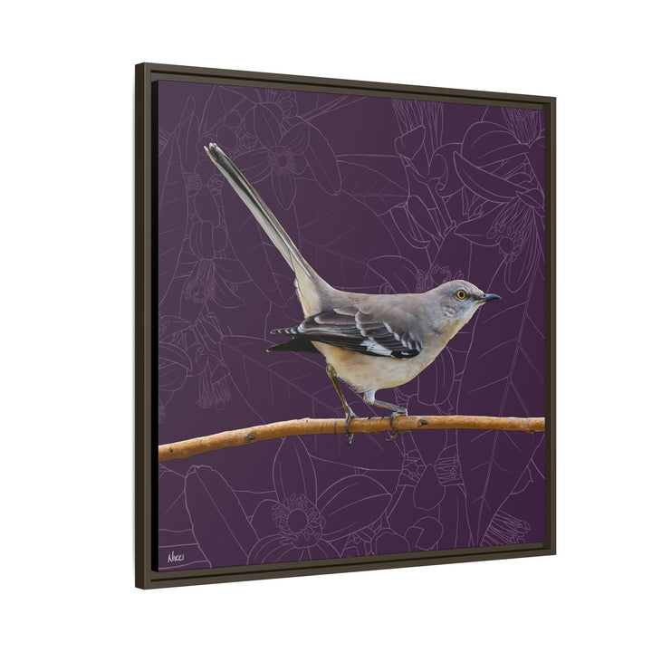 Northern Mockingbird: Florida State Bird — Framed Canvas Print Wall Art