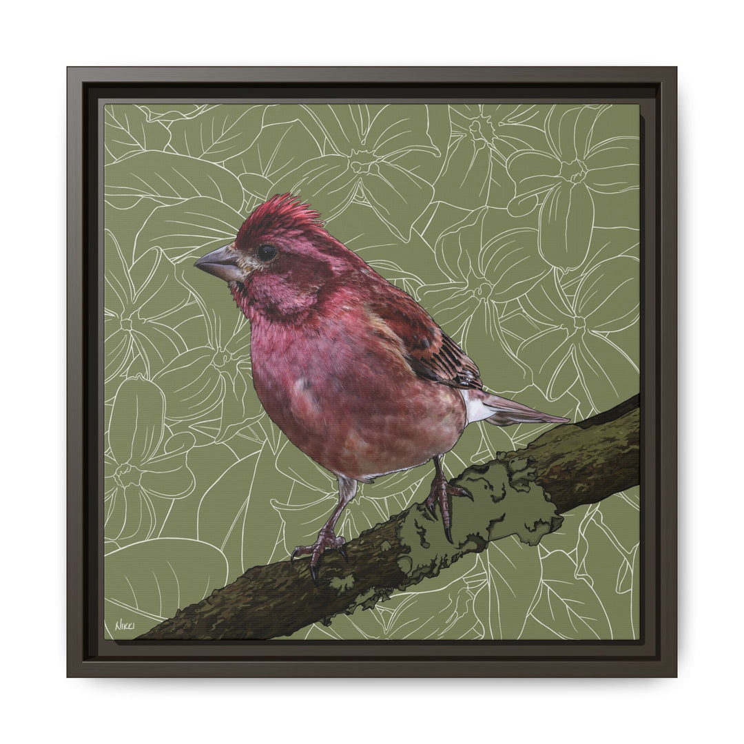 Purple Finch: New Hampshire State Bird — Framed Canvas Print Wall Art