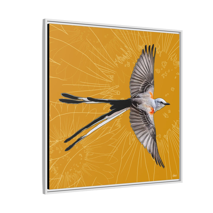 Scissor Tailed Flycatcher: Oklahoma State Bird — Framed Canvas Print Wall Art