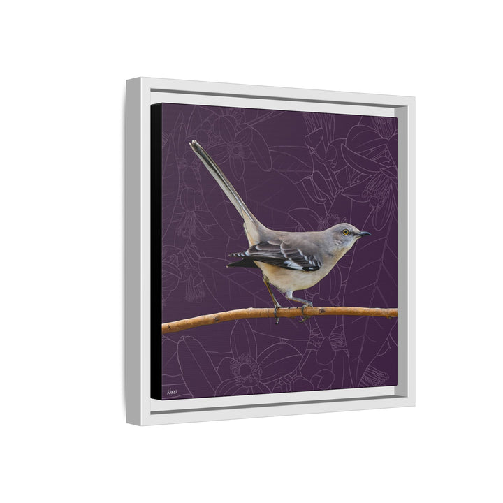 Northern Mockingbird: Florida State Bird — Framed Canvas Print Wall Art