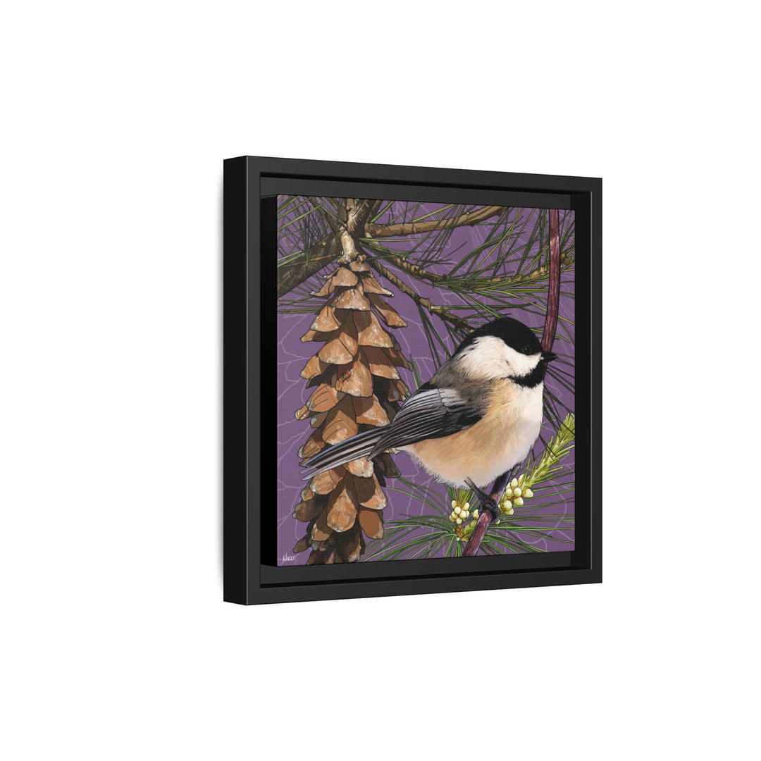 Black-capped Chickadee: Maine State Bird — Framed Canvas Print