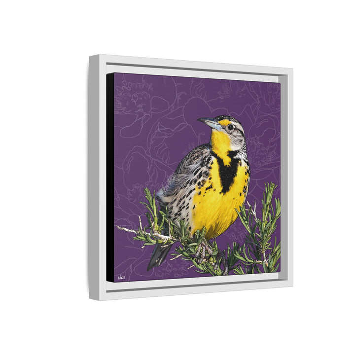 Western Meadowlark: North Dakota State Bird — Framed Canvas Print