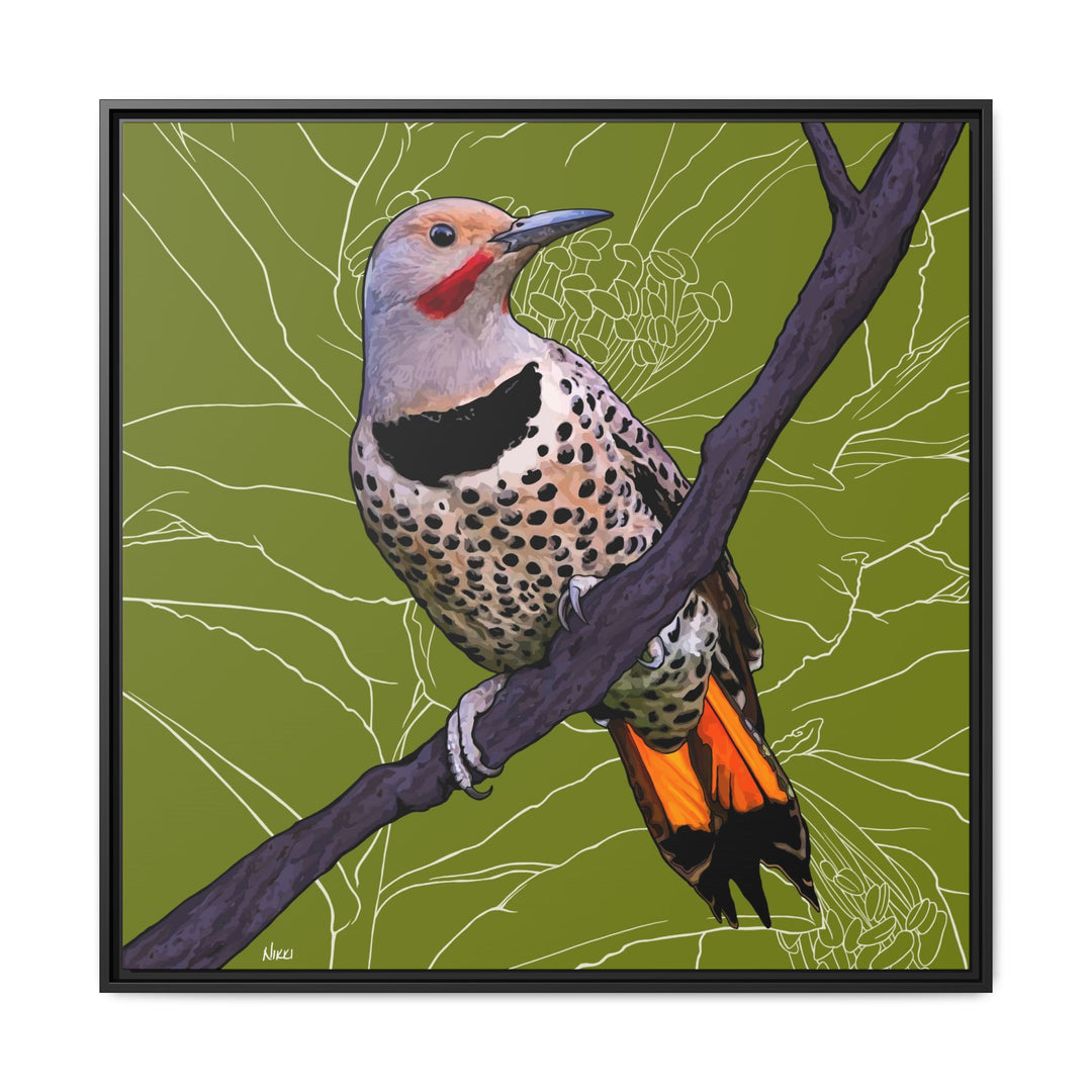 Northern Flicker (Yellowhammer): Alabama State Bird: — Framed Canvas Print Wall Art