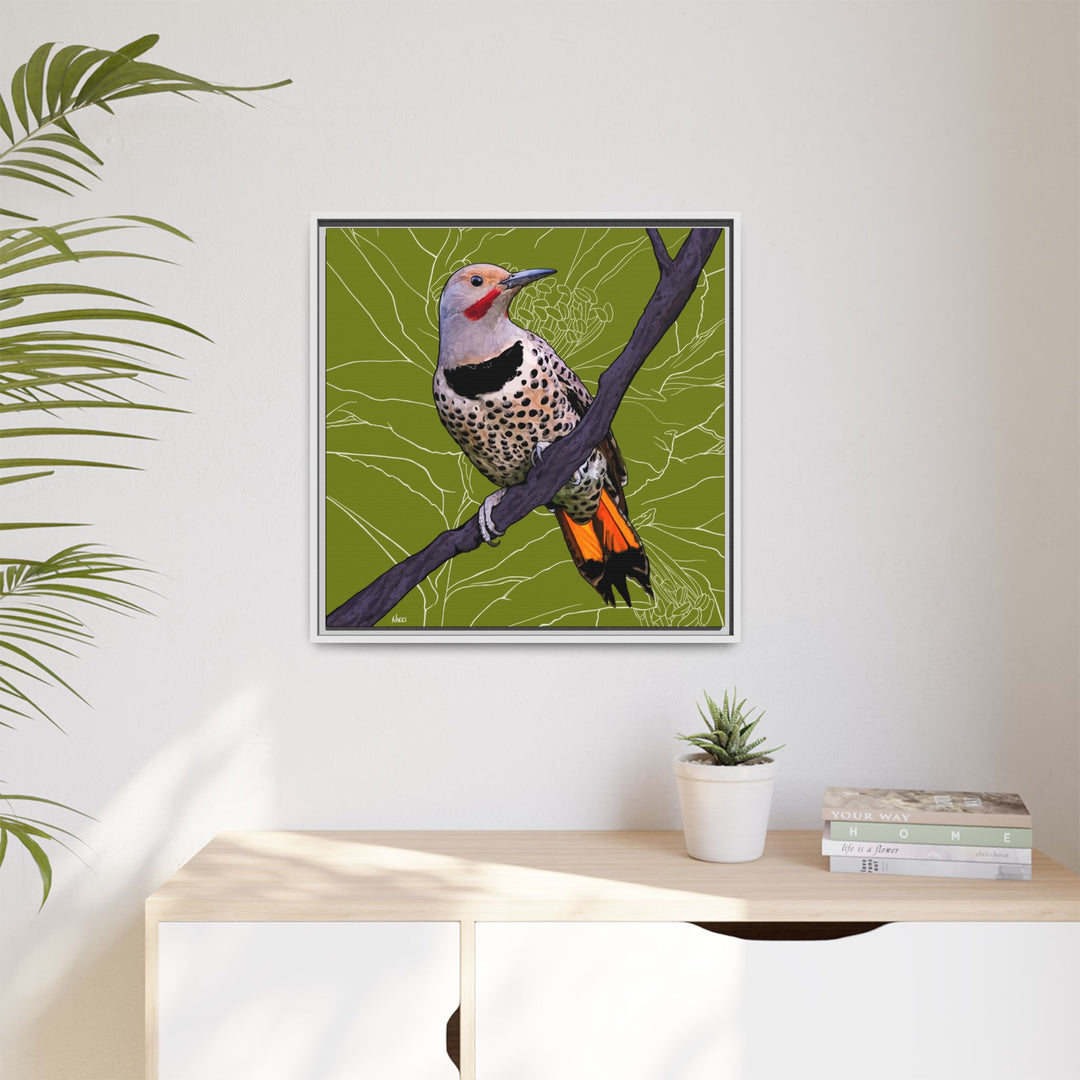 Northern Flicker (Yellowhammer): Alabama State Bird: — Framed Canvas Print Wall Art
